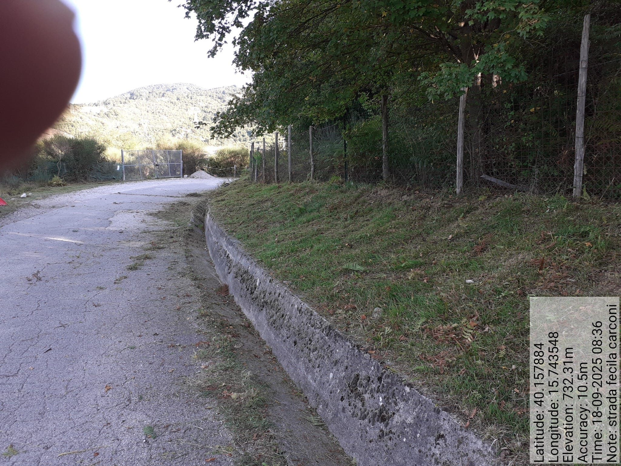 Galleria Fotografica Immagine