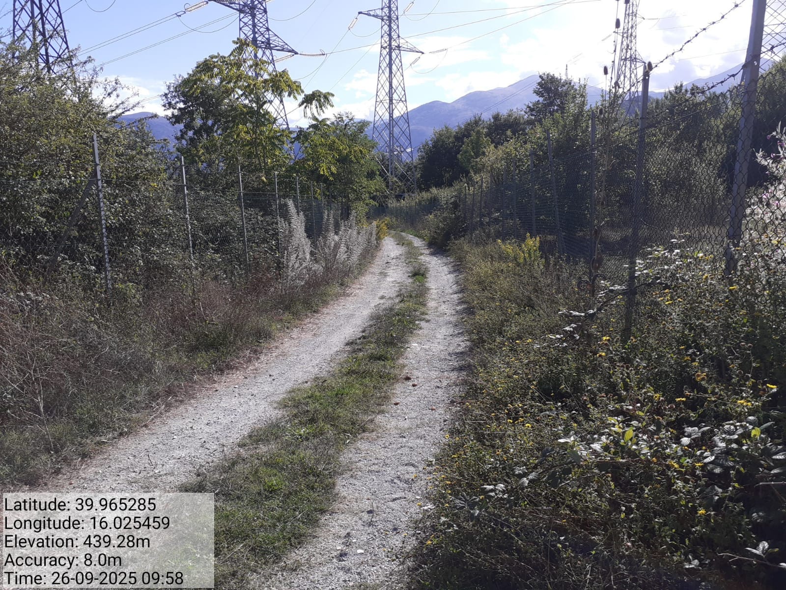 Galleria Fotografica Immagine