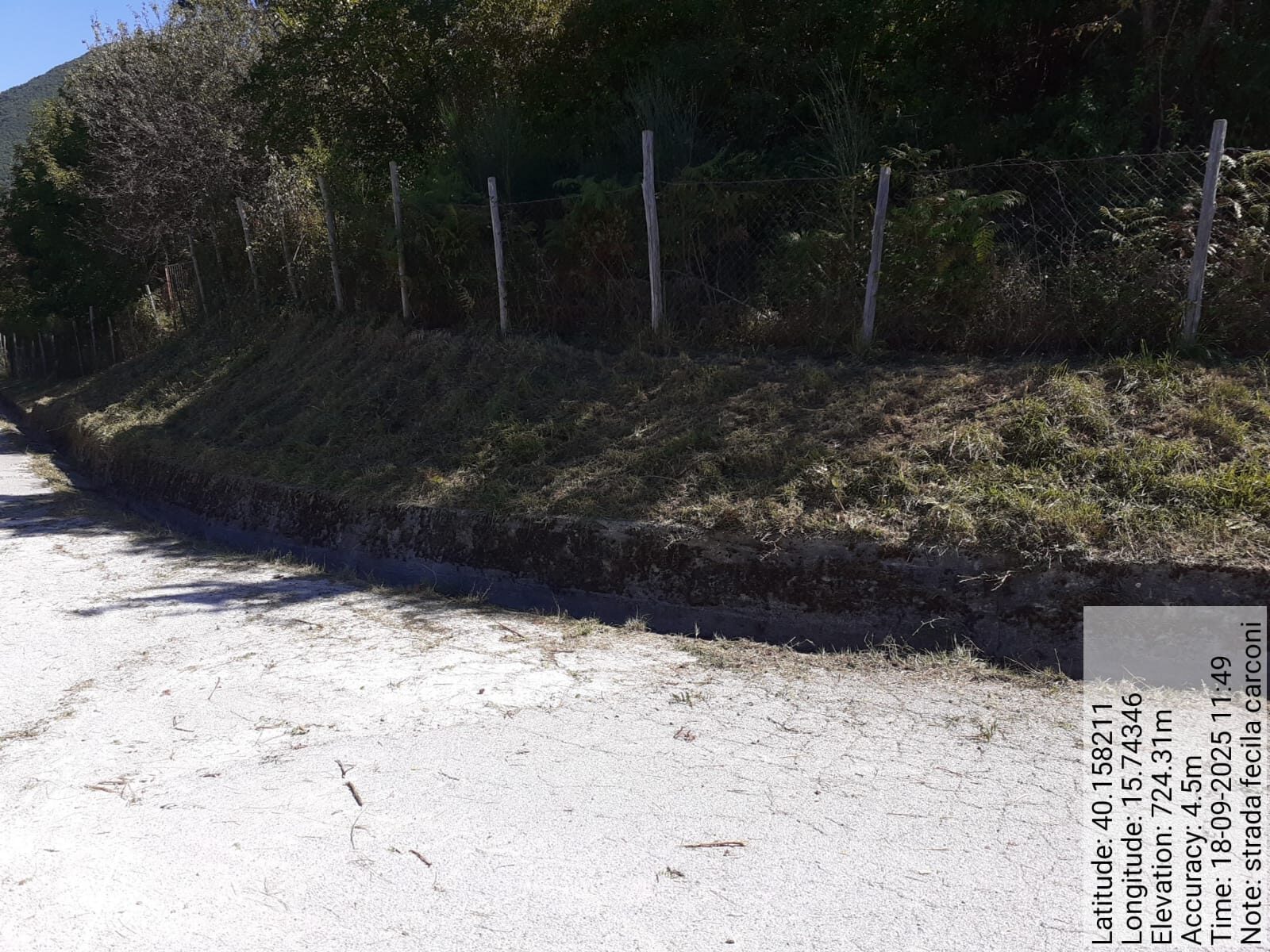 Galleria Fotografica Immagine