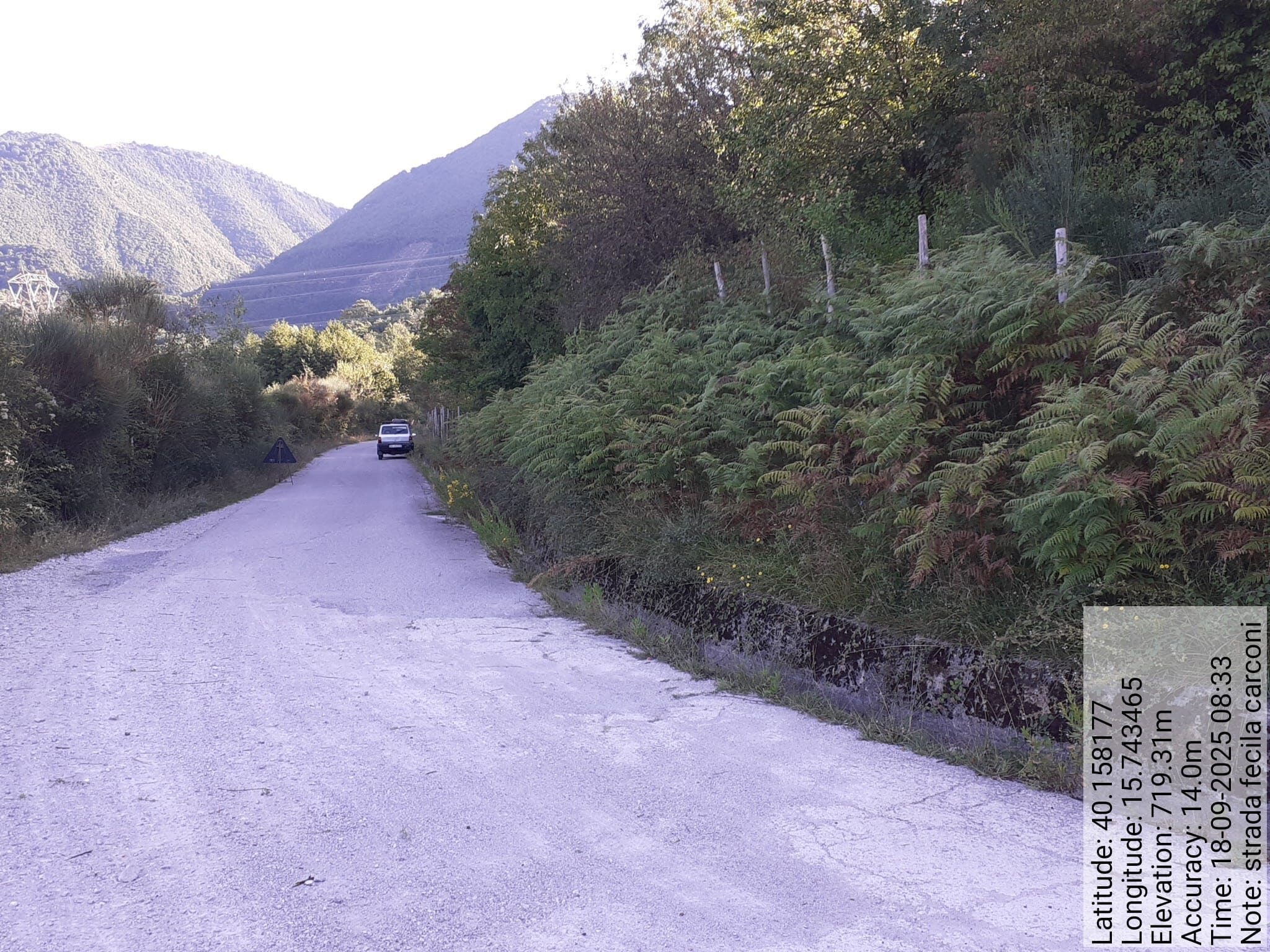 Galleria Fotografica Immagine