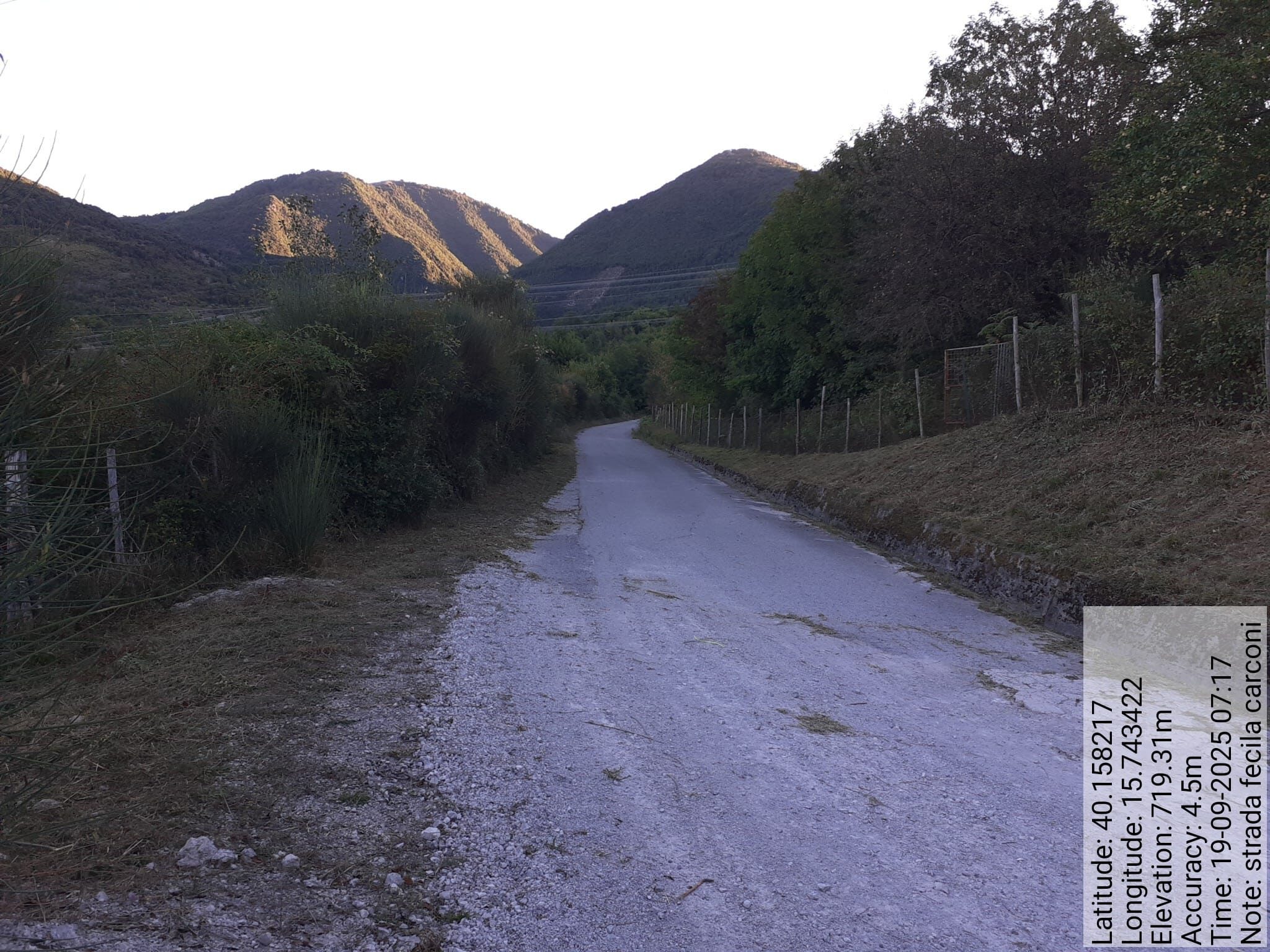 Galleria Fotografica Immagine