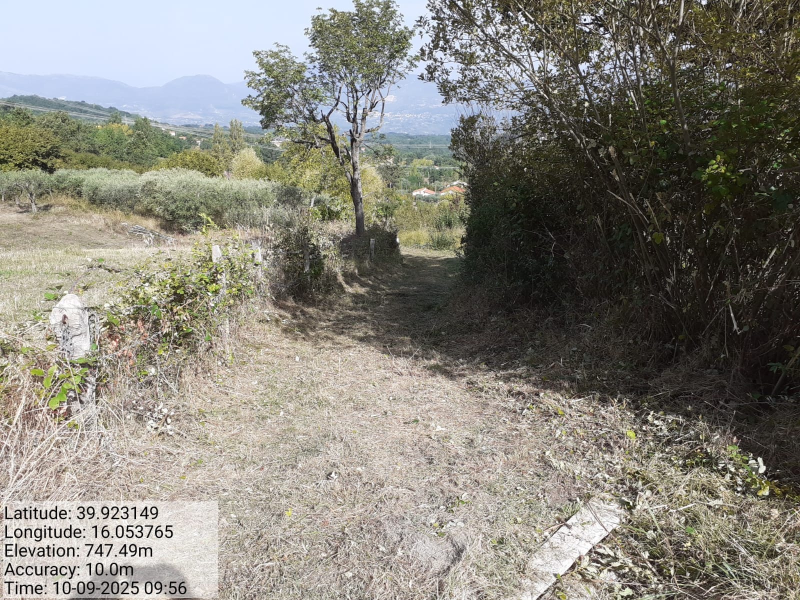 Galleria Fotografica Immagine