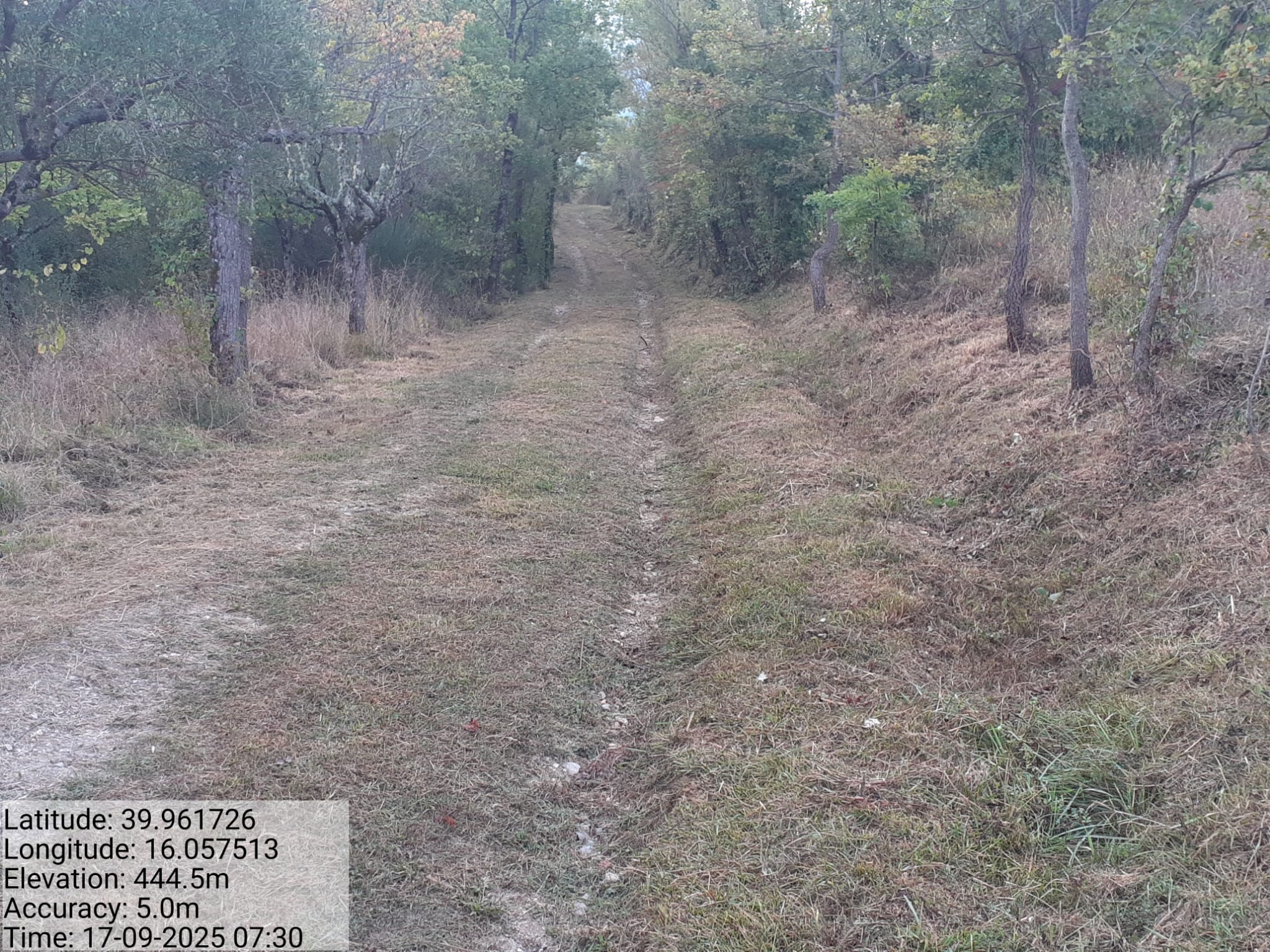 Galleria Fotografica Immagine