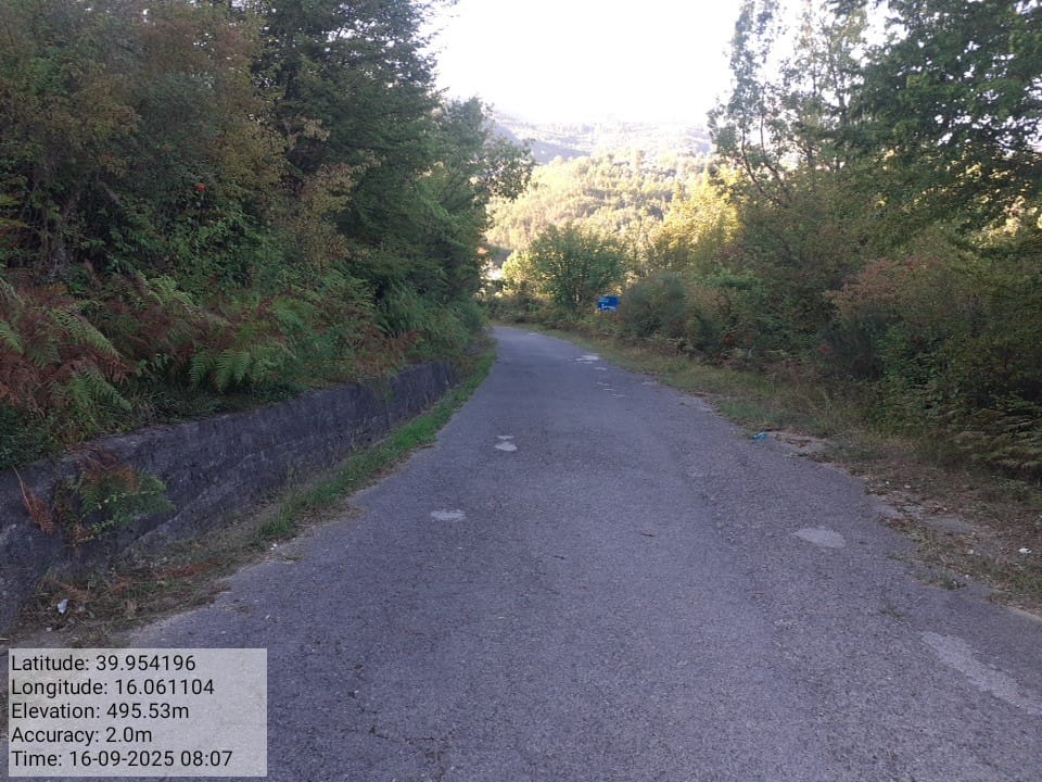 Galleria Fotografica Immagine