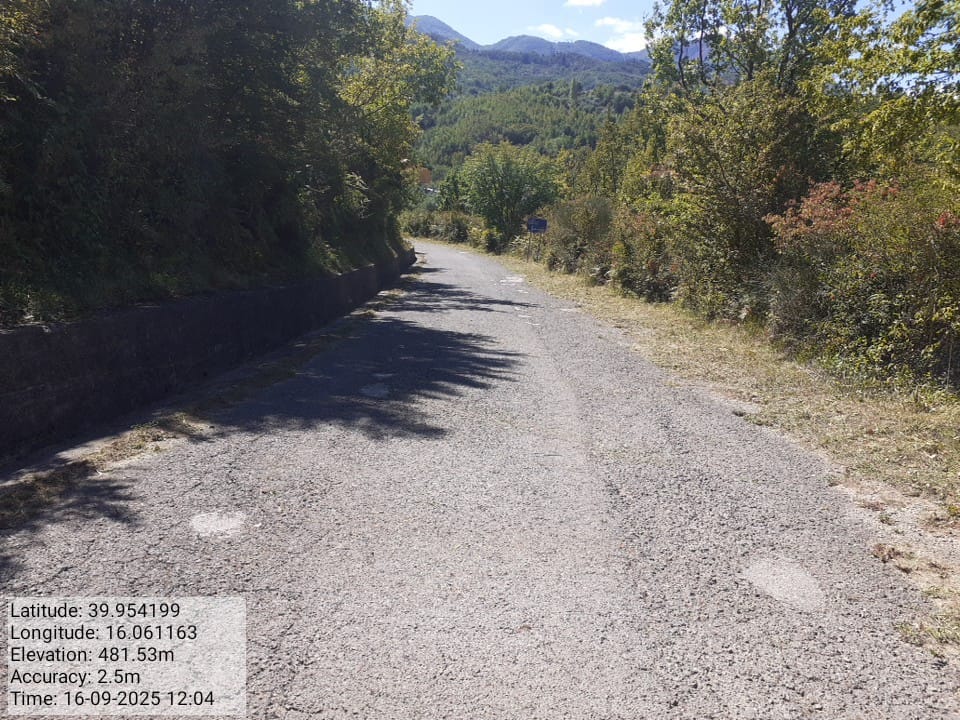 Galleria Fotografica Immagine