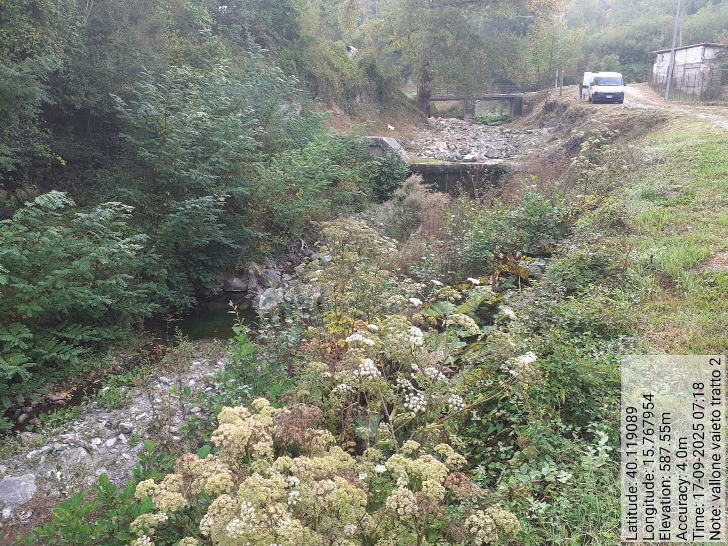 Galleria Fotografica Immagine