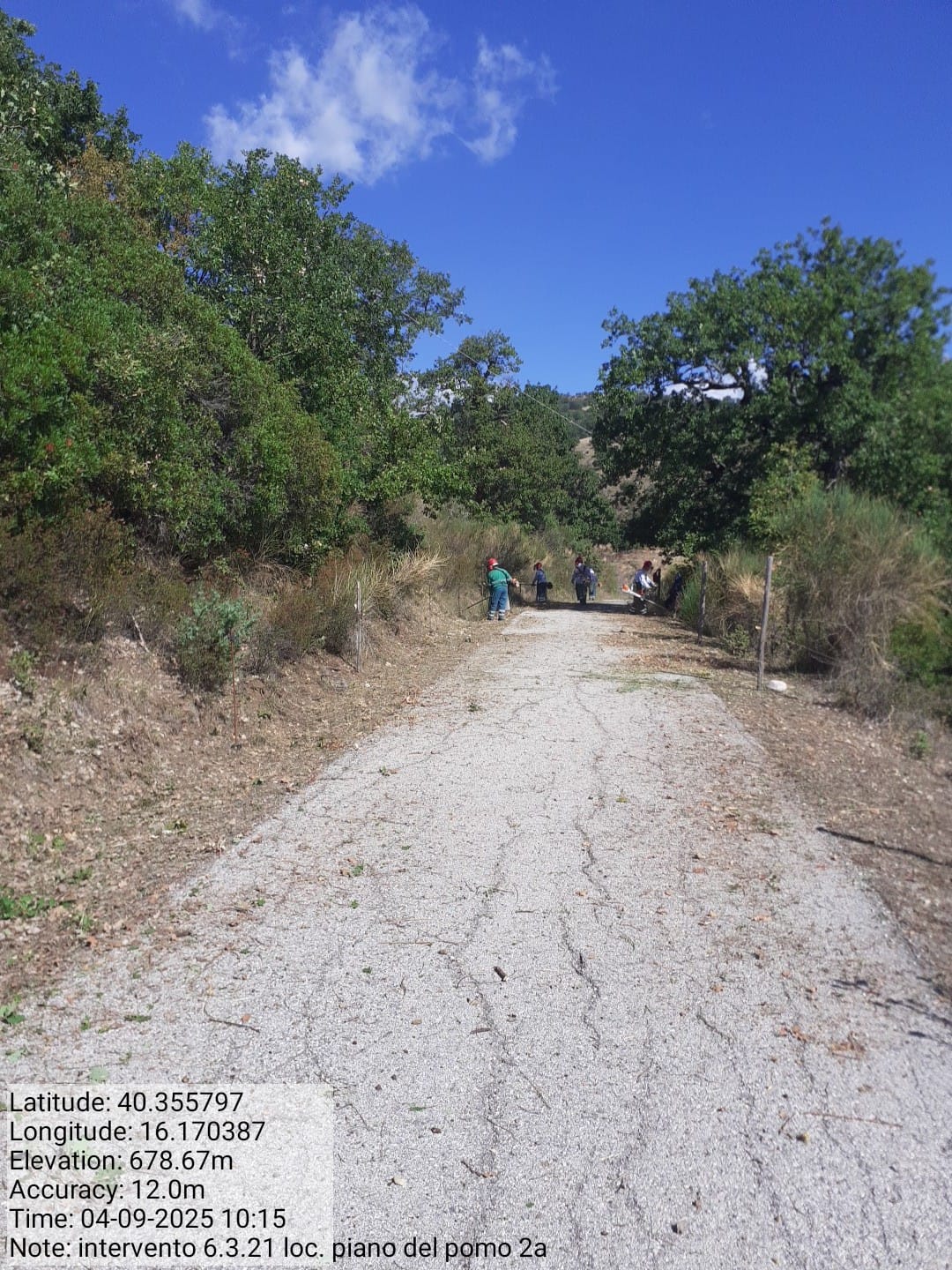 Galleria Fotografica Immagine