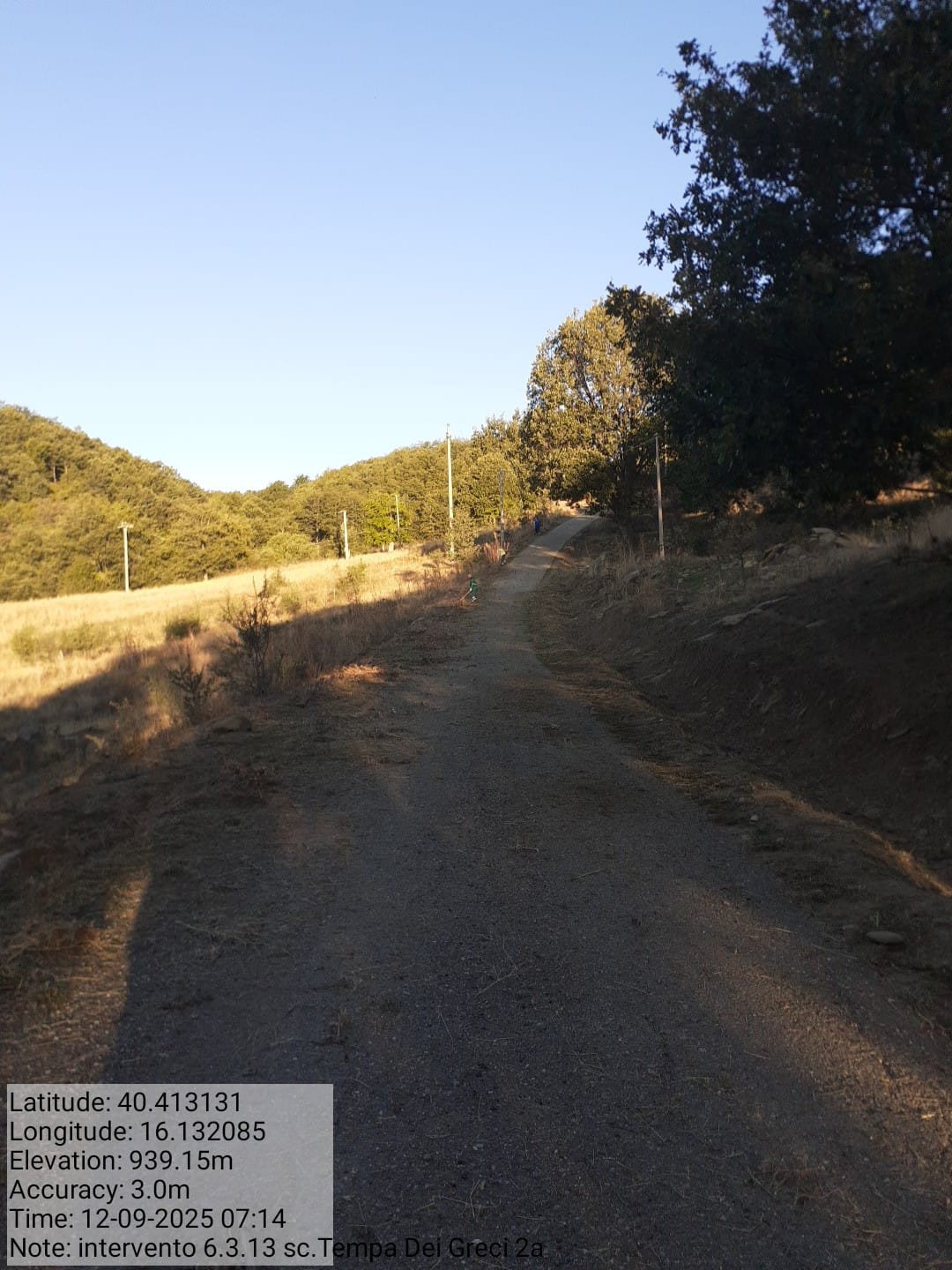 Galleria Fotografica Immagine