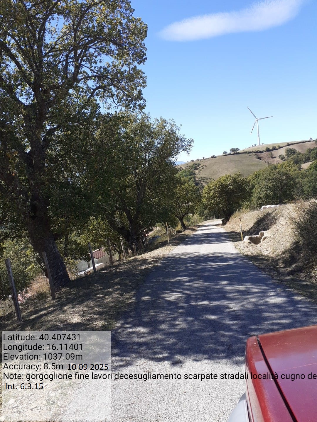 Galleria Fotografica Immagine