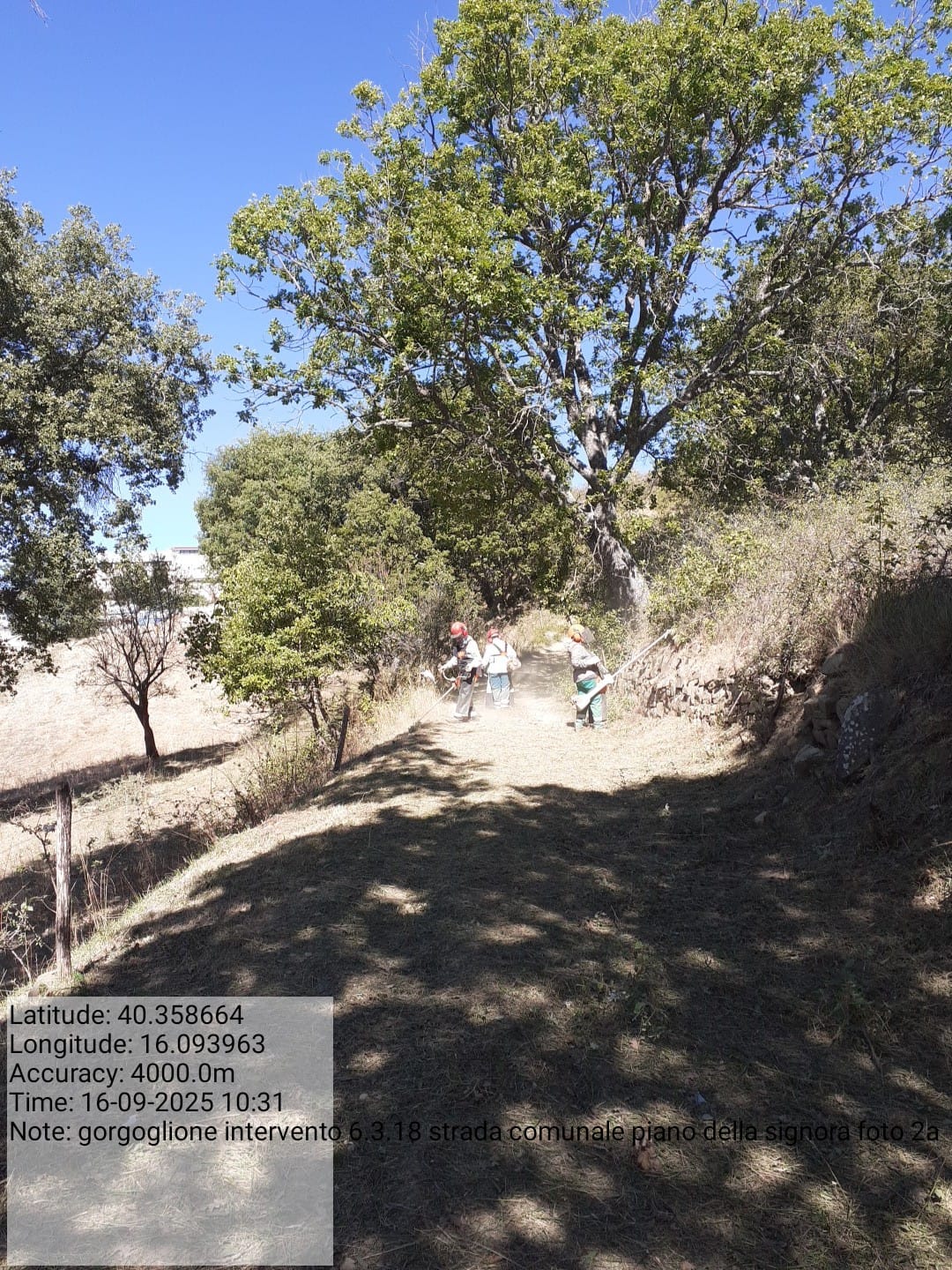 Galleria Fotografica Immagine