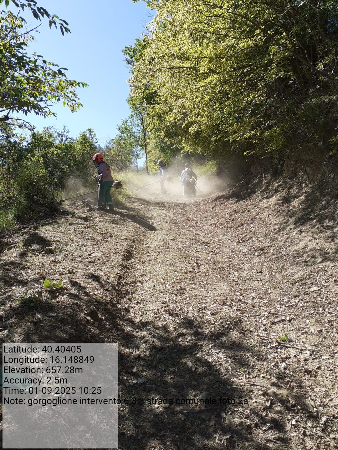 Galleria Fotografica Immagine