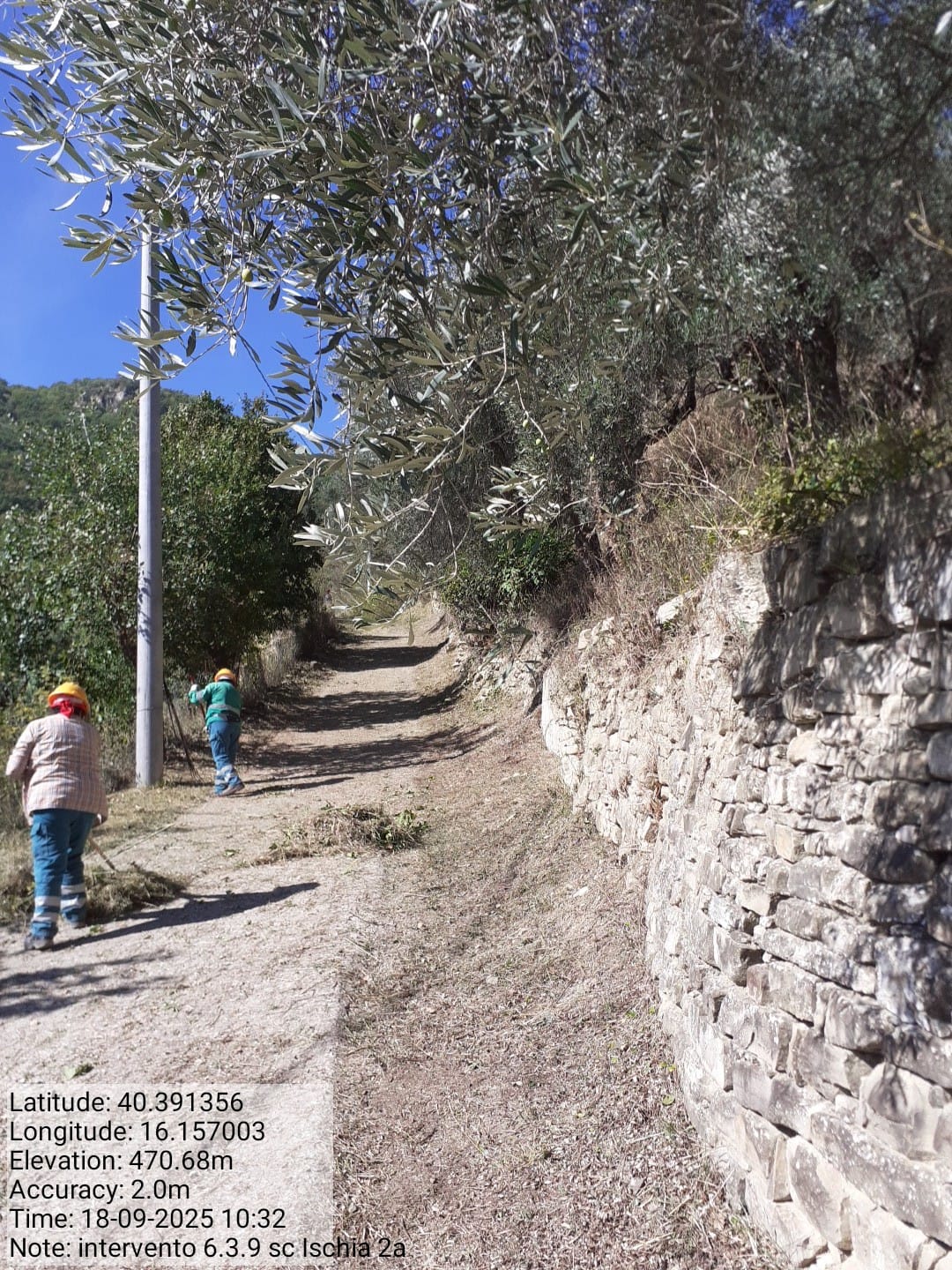 Galleria Fotografica Immagine