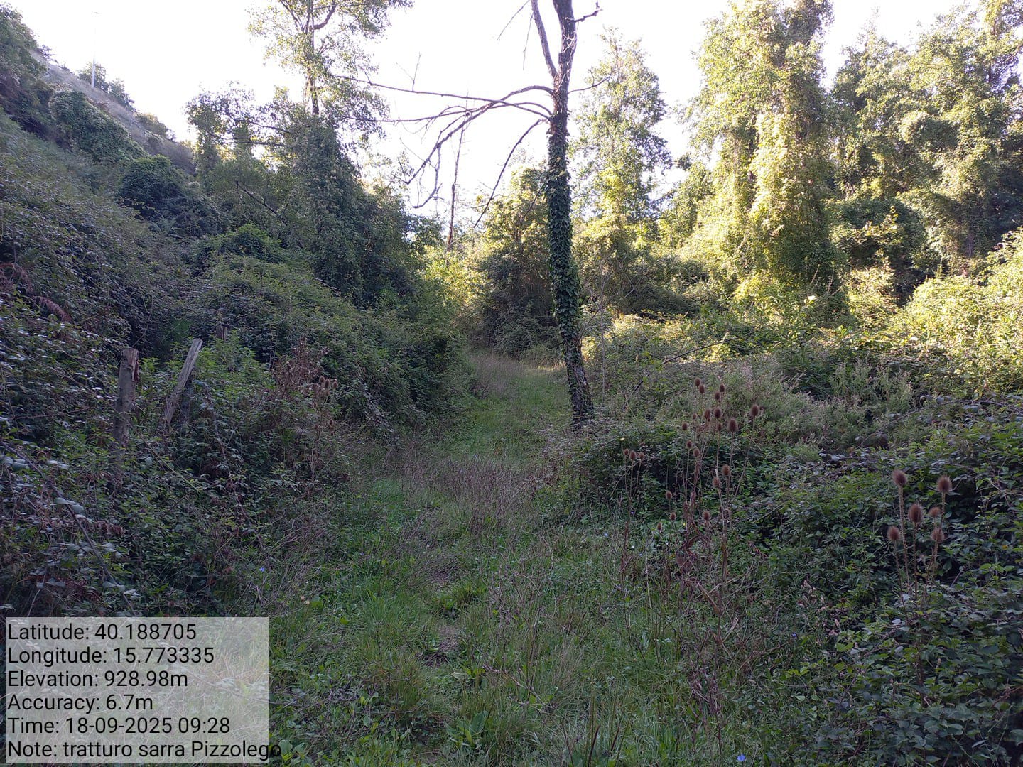 Galleria Fotografica Immagine