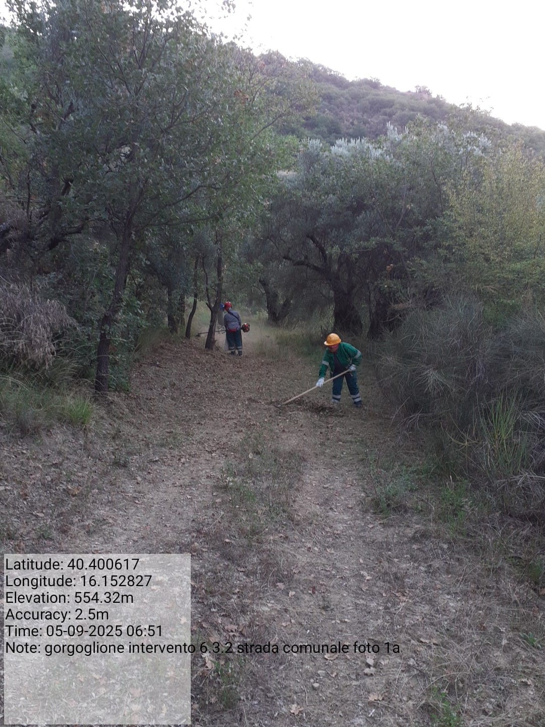 Galleria Fotografica Immagine