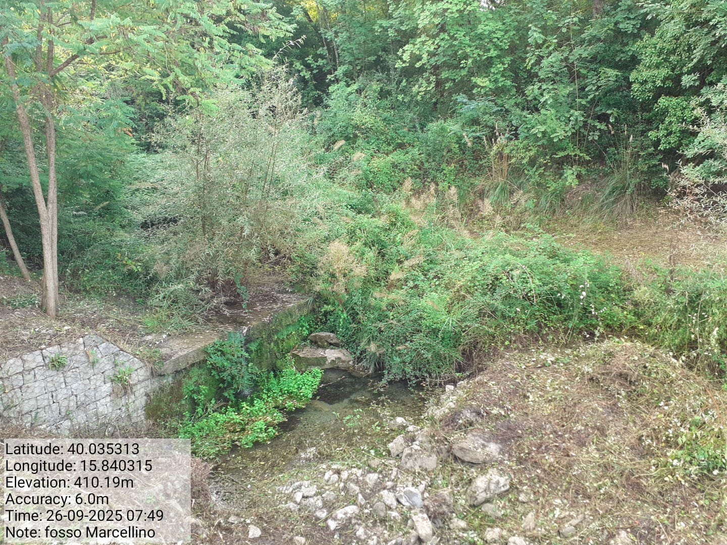 Galleria Fotografica Immagine