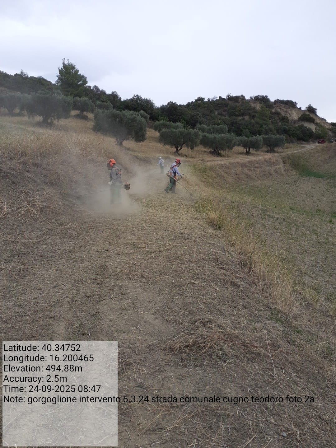 Galleria Fotografica Immagine