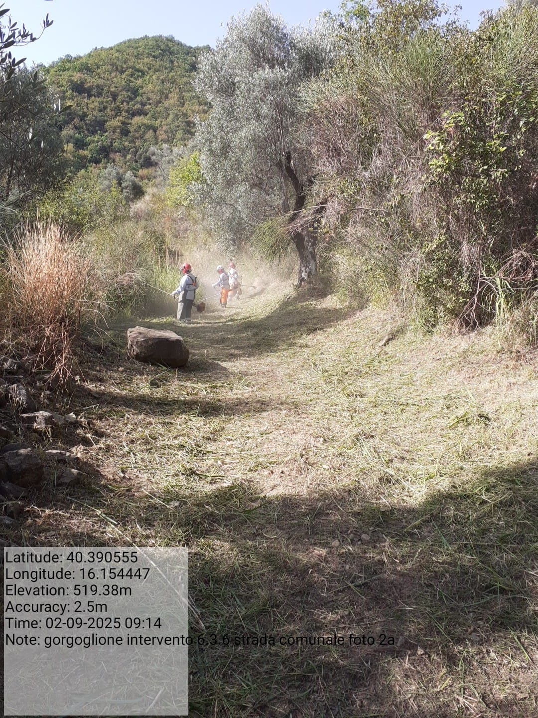 Galleria Fotografica Immagine