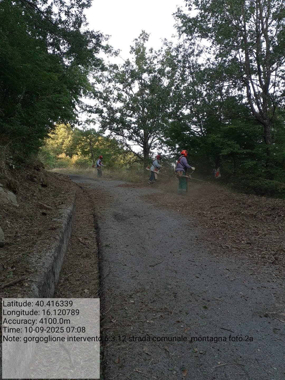 Galleria Fotografica Immagine