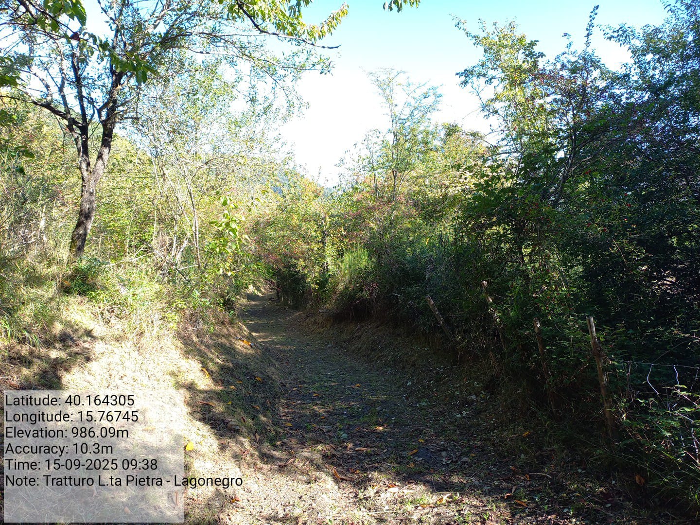 Galleria Fotografica Immagine