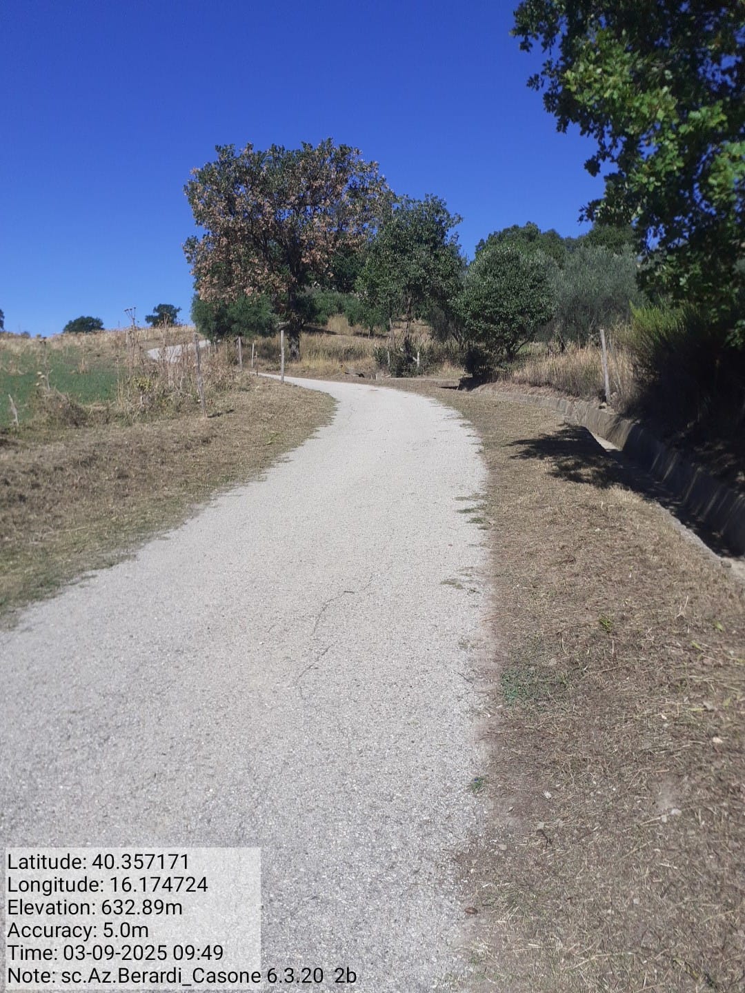 Galleria Fotografica Immagine