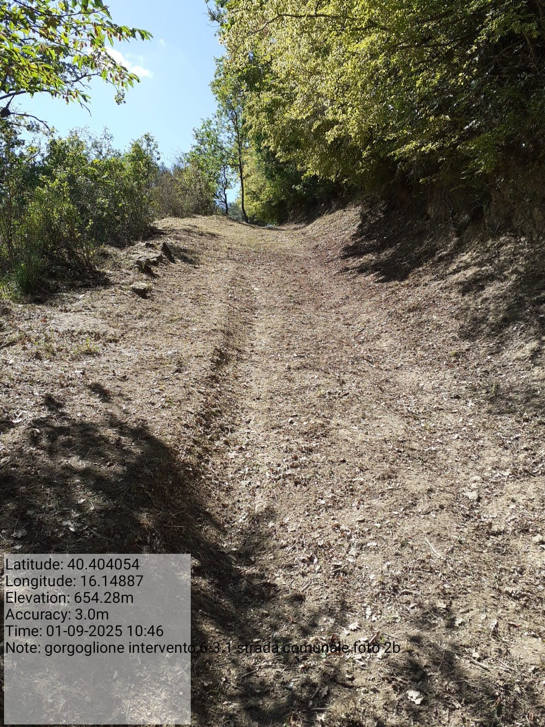 Galleria Fotografica Immagine