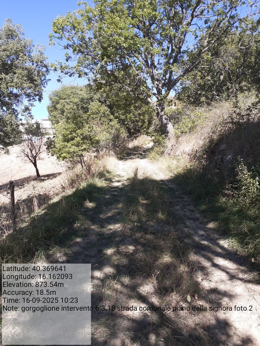 Galleria Fotografica Immagine