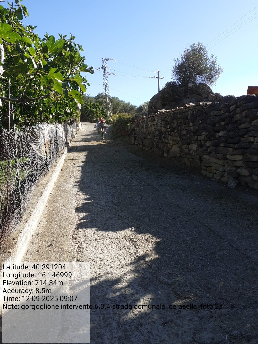 Galleria Fotografica Immagine