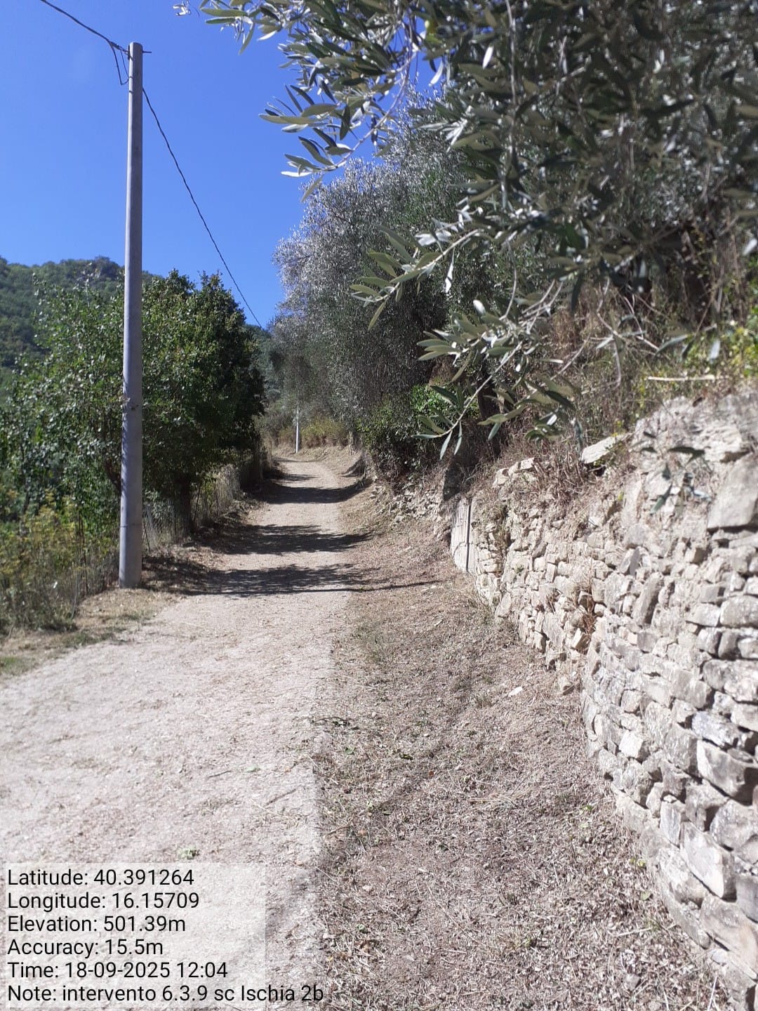 Galleria Fotografica Immagine