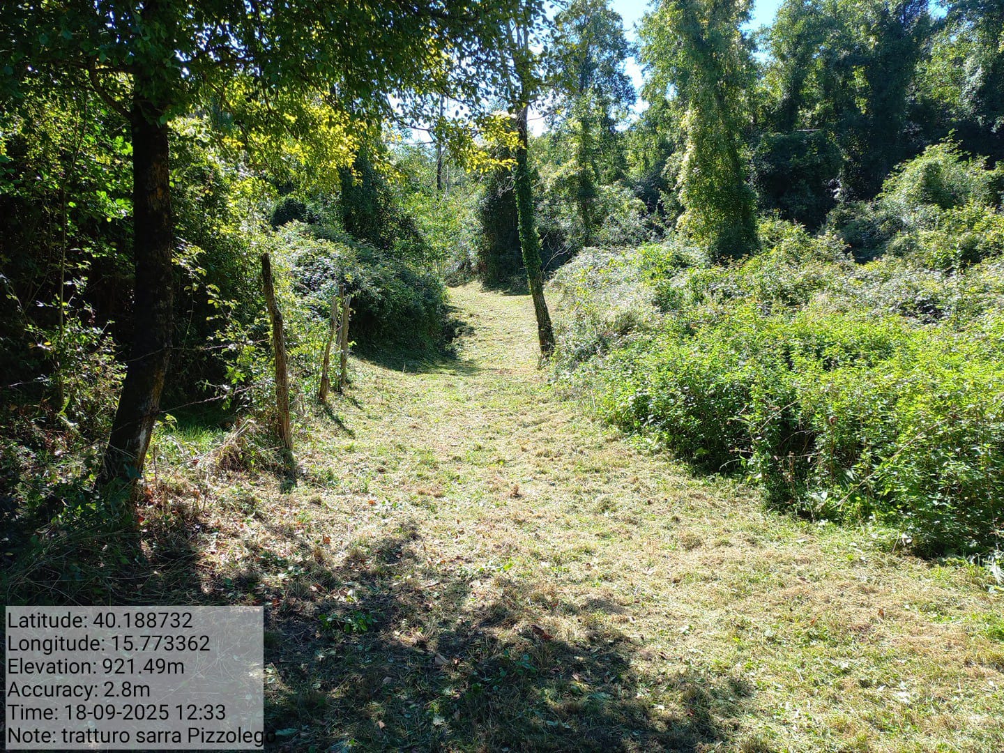 Galleria Fotografica Immagine