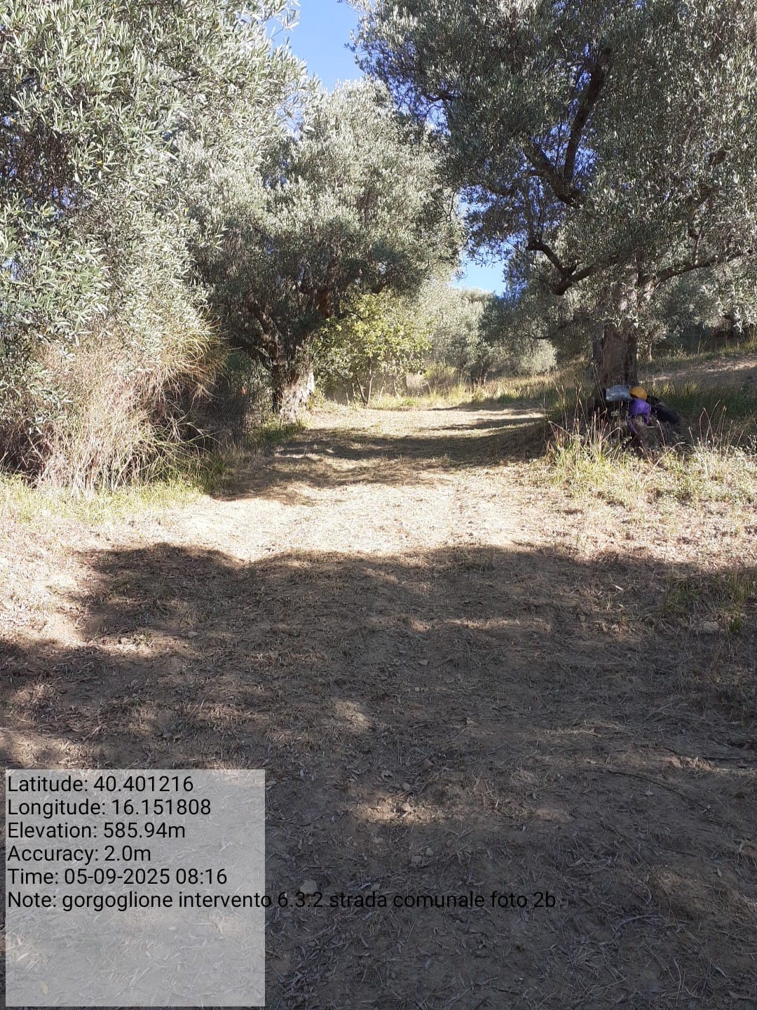 Galleria Fotografica Immagine