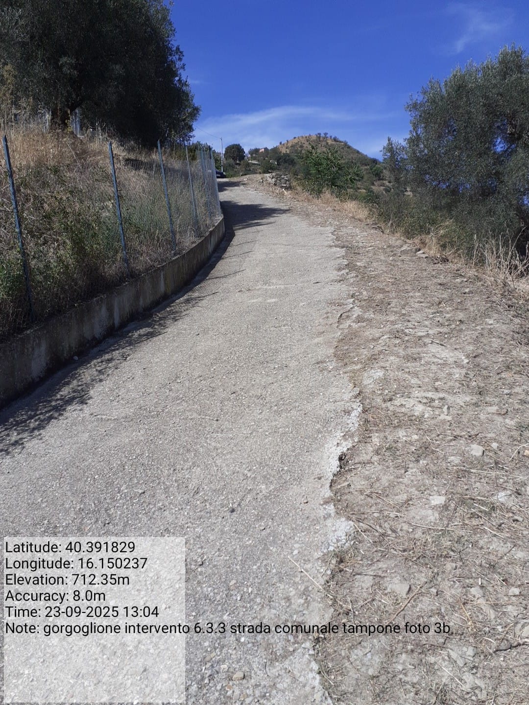 Galleria Fotografica Immagine