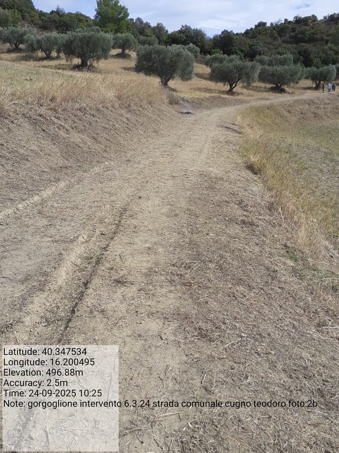 Galleria Fotografica Immagine