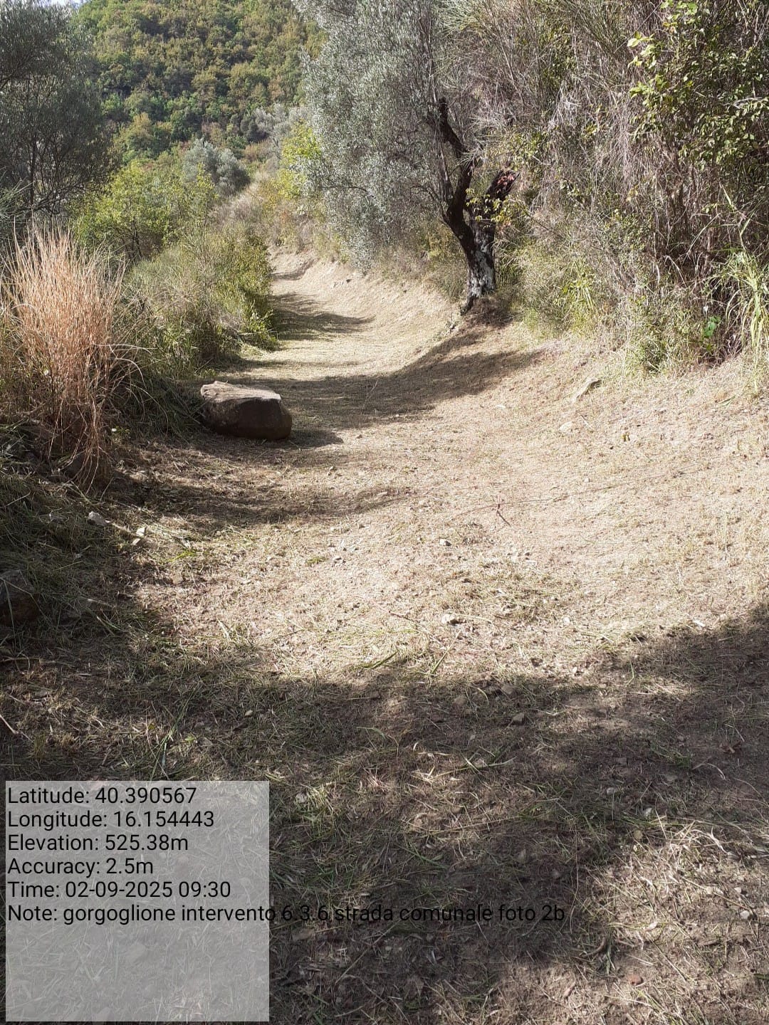 Galleria Fotografica Immagine