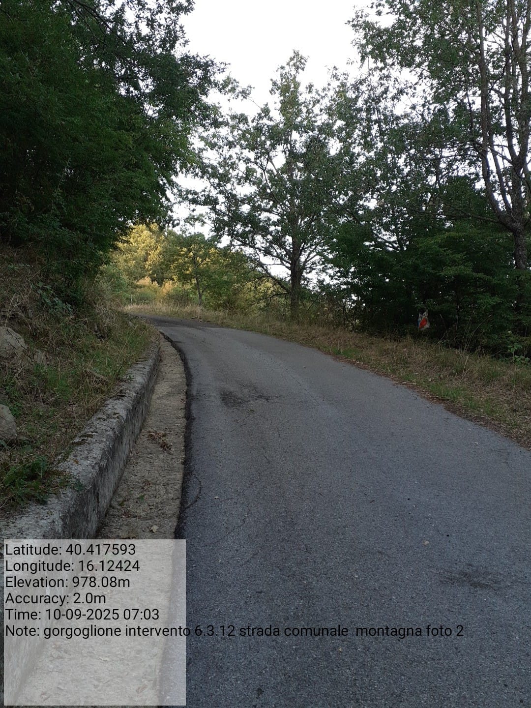 Galleria Fotografica Immagine