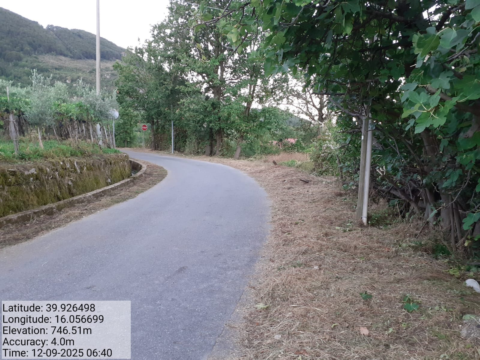 Galleria Fotografica Immagine