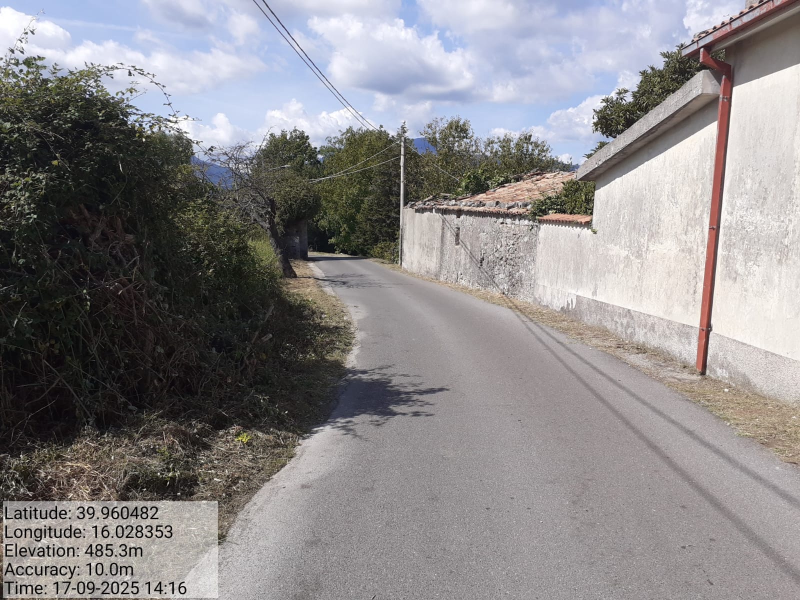 Galleria Fotografica Immagine