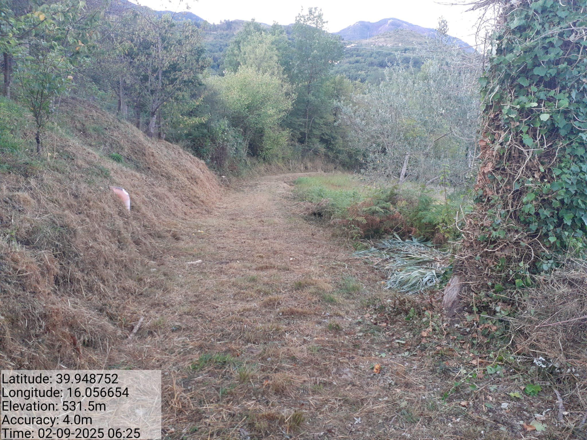 Galleria Fotografica Immagine