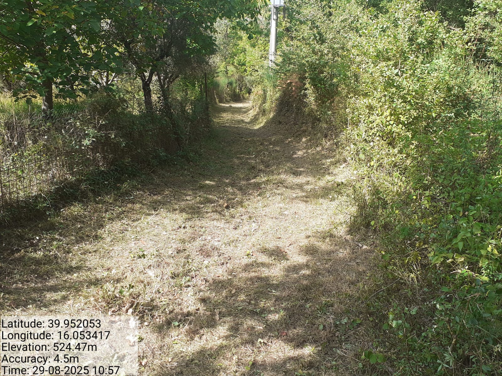 Galleria Fotografica Immagine