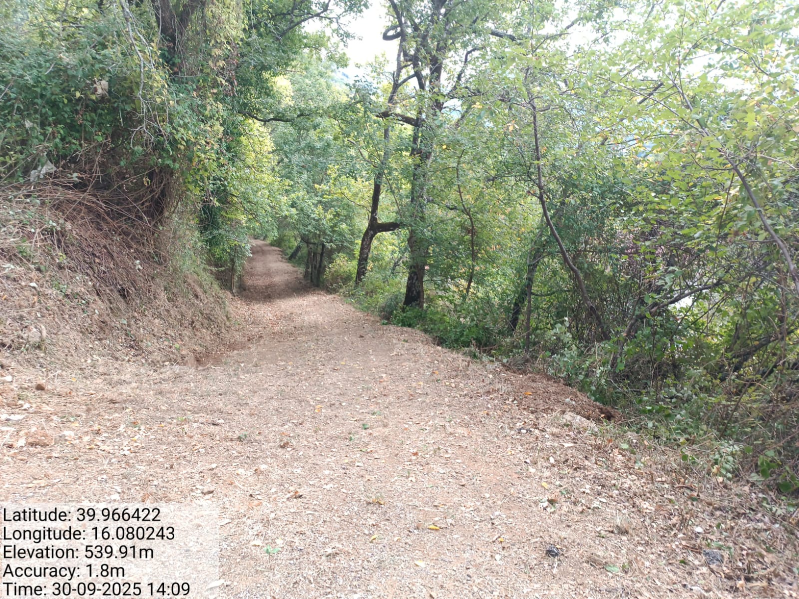 Galleria Fotografica Immagine