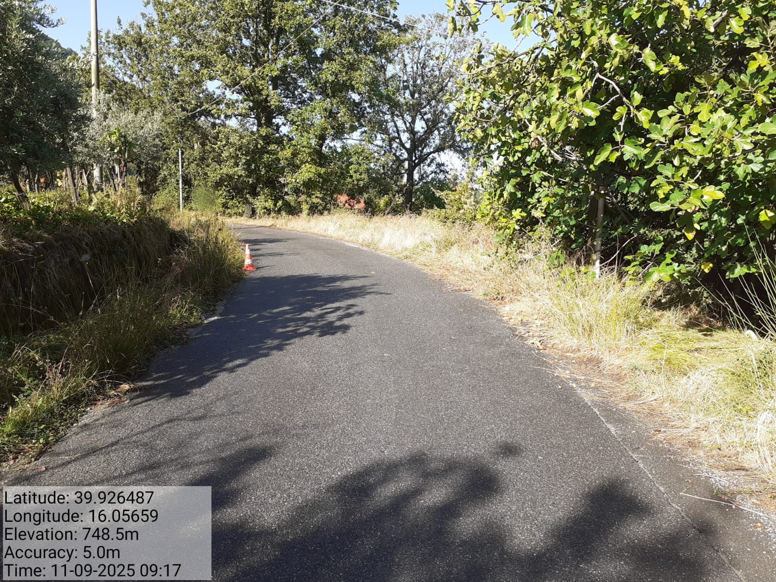 Galleria Fotografica Immagine