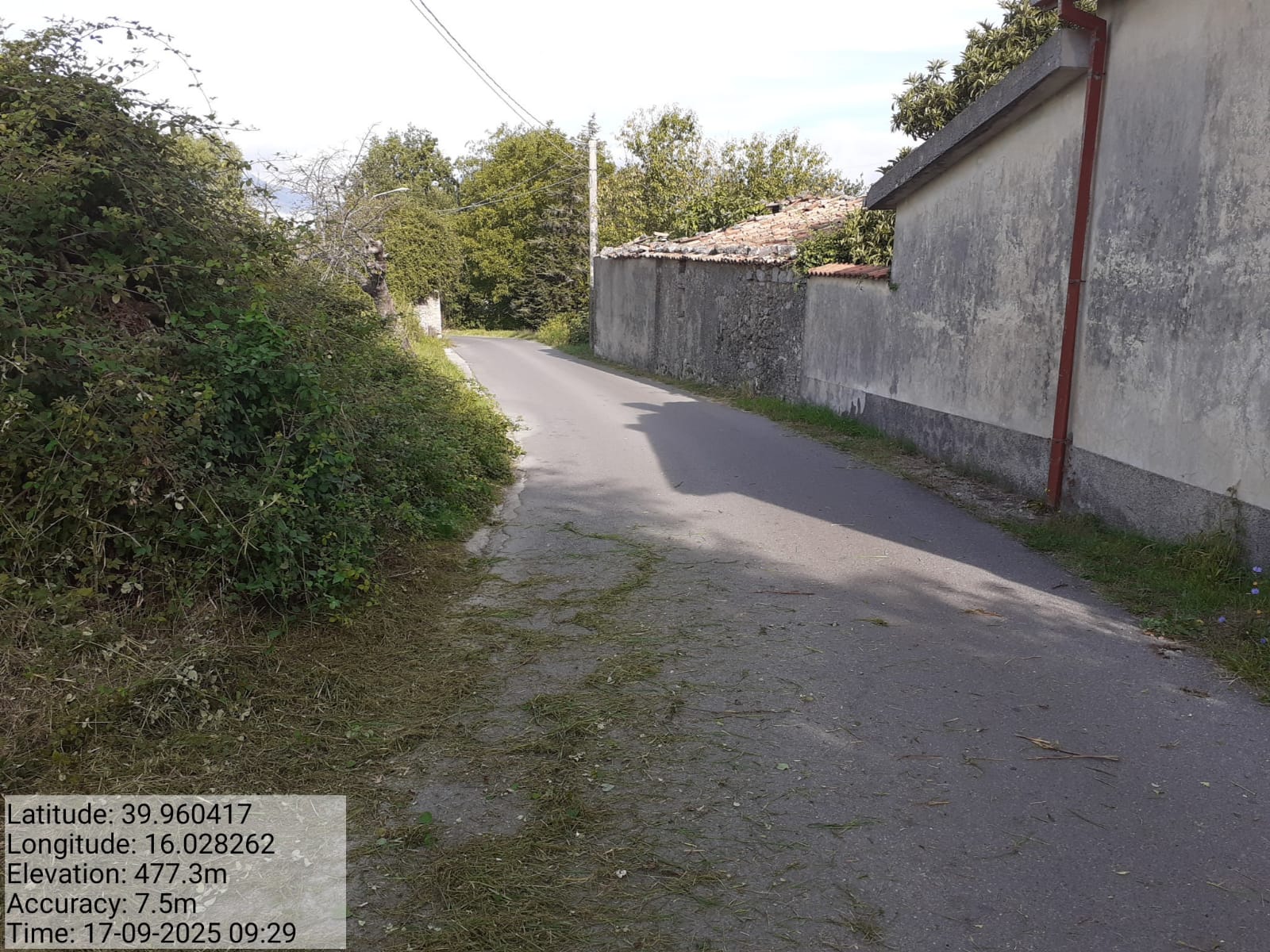 Galleria Fotografica Immagine