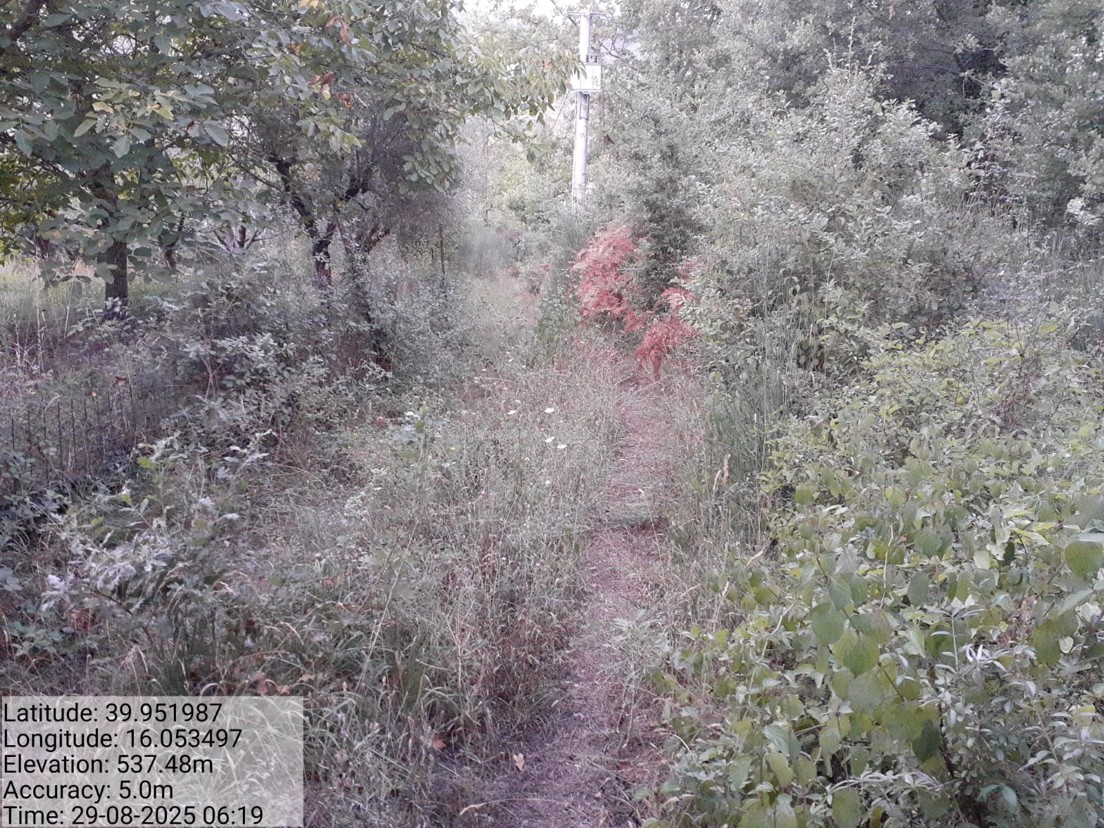 Galleria Fotografica Immagine