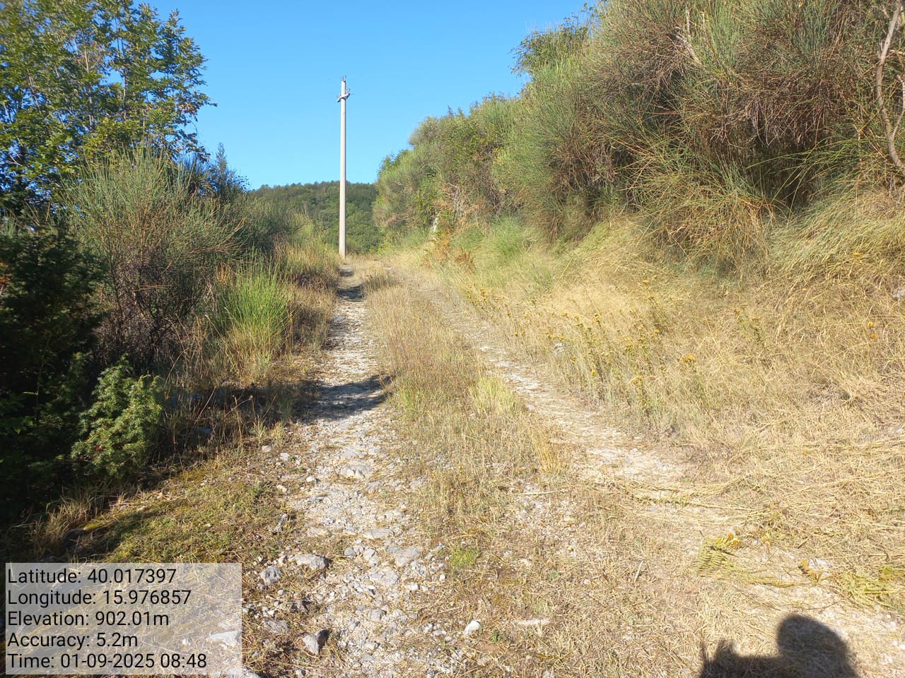 Galleria Fotografica Immagine