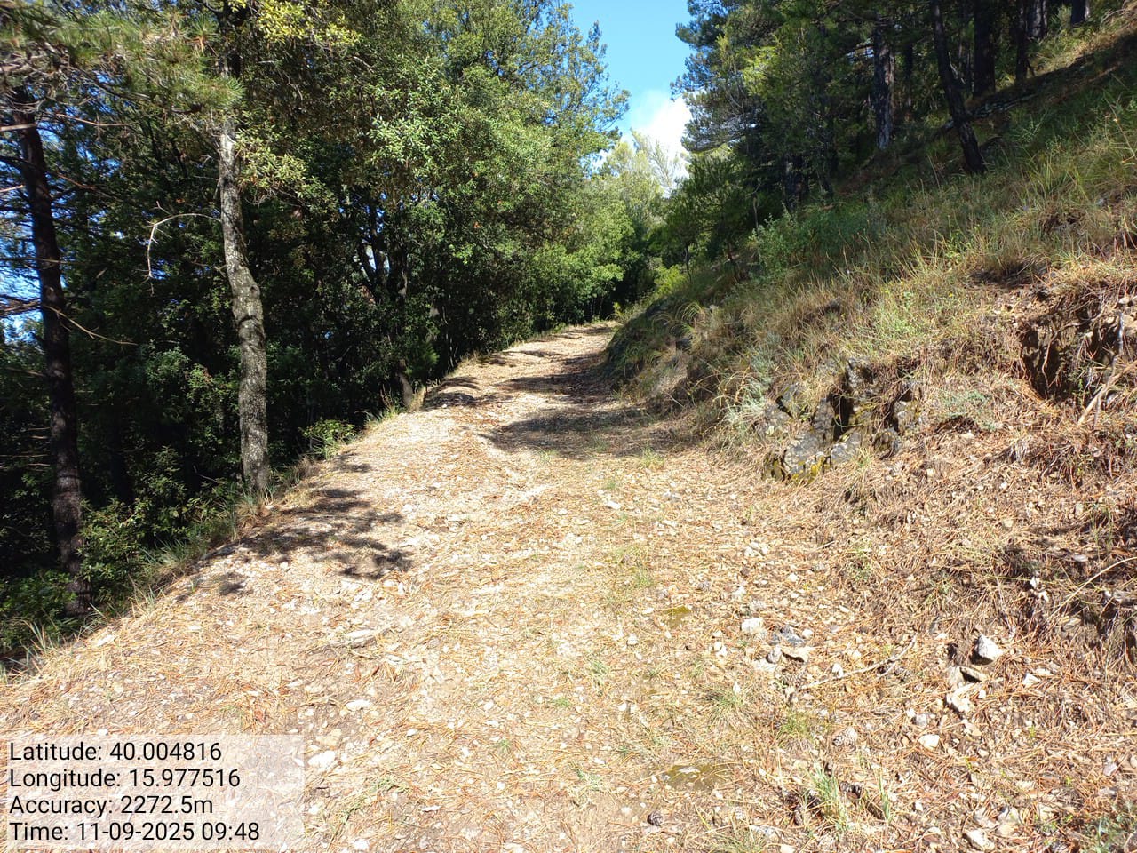 Galleria Fotografica Immagine