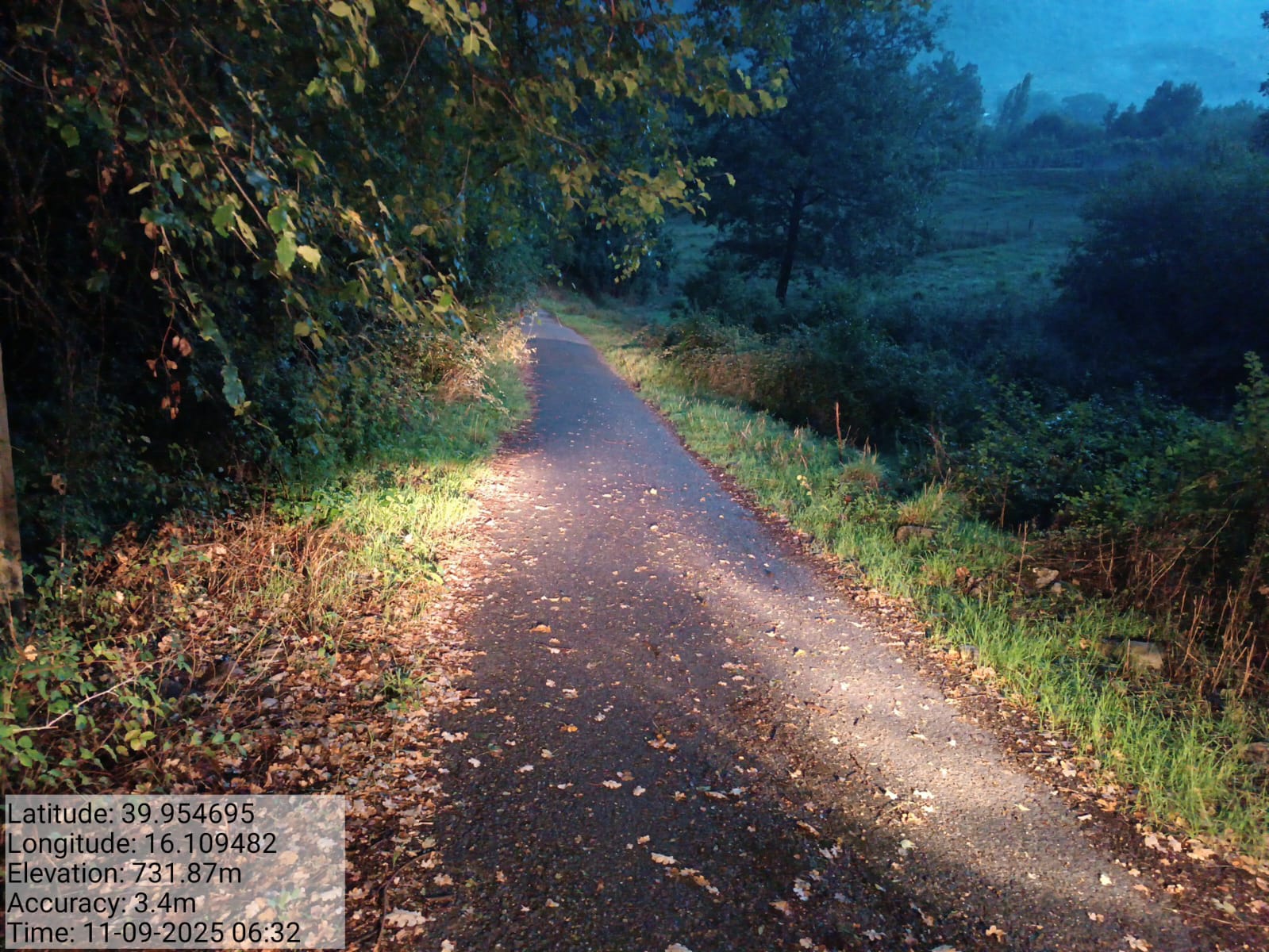 Galleria Fotografica Immagine