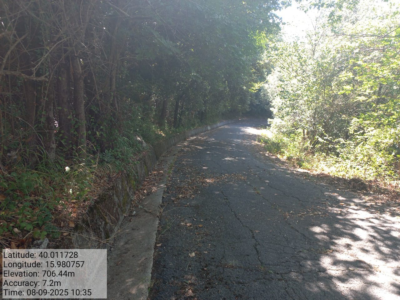 Galleria Fotografica Immagine