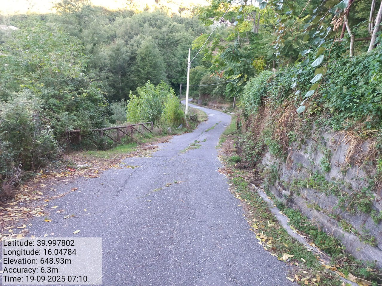 Galleria Fotografica Immagine