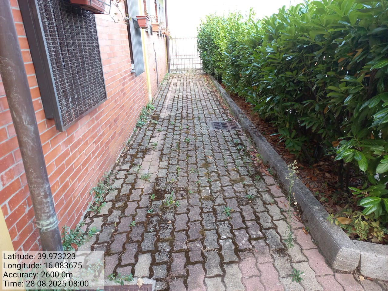 Galleria Fotografica Immagine