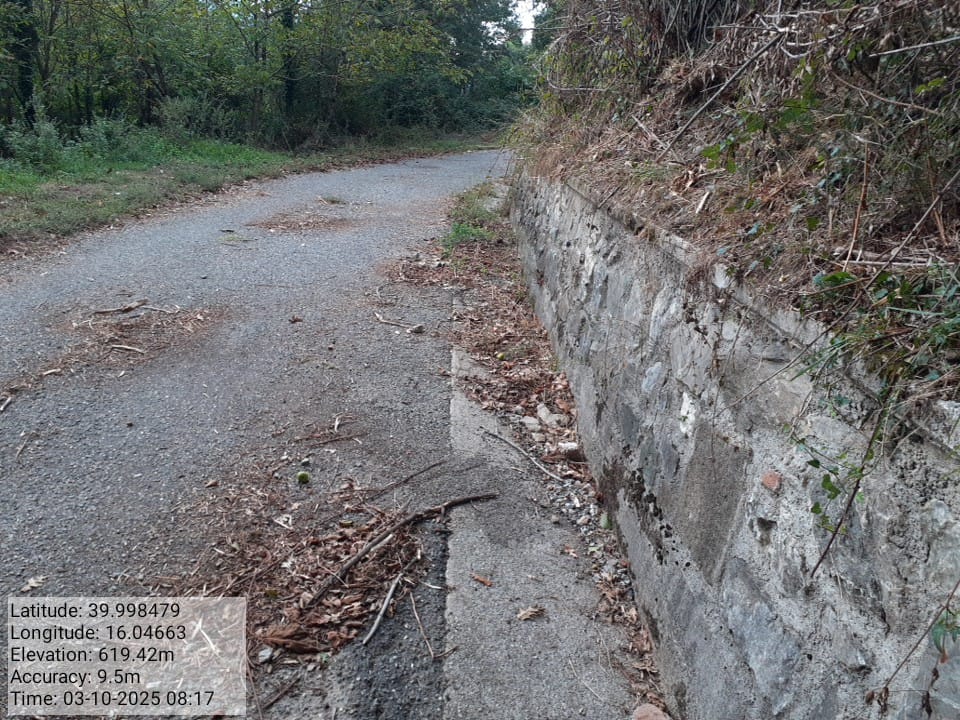 Galleria Fotografica Immagine