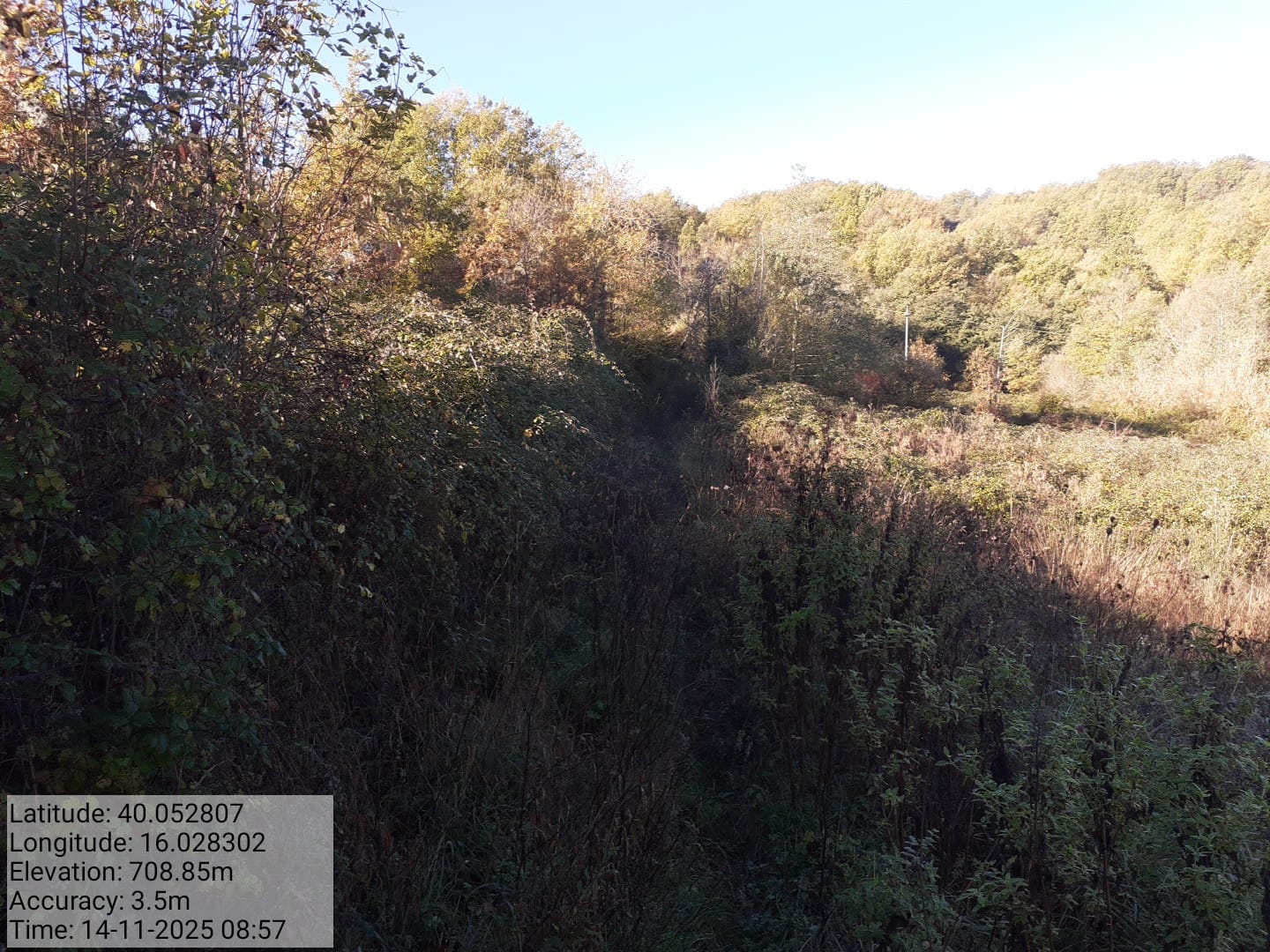 Galleria Fotografica Immagine